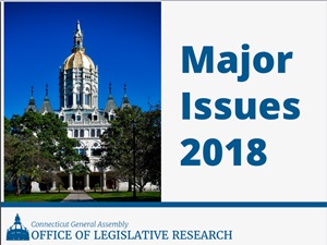 20180108_2018 Major Issues.pdf